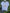 T-shirt med tryck Marta